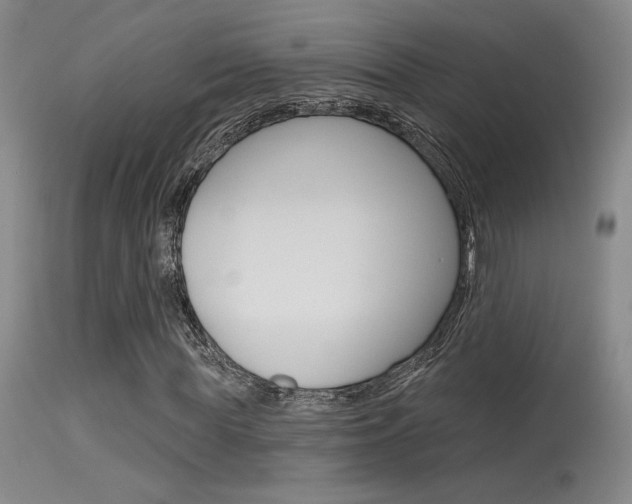 X0000115730819200911121123