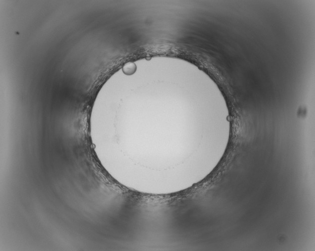 X0000115730820200911121123