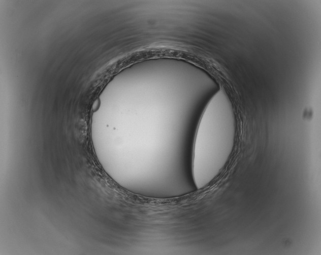 X0000115730821200911121123