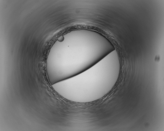 X0000115730822200911121123