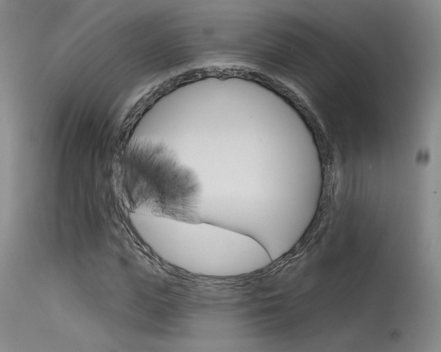 X0000115730823200911121123