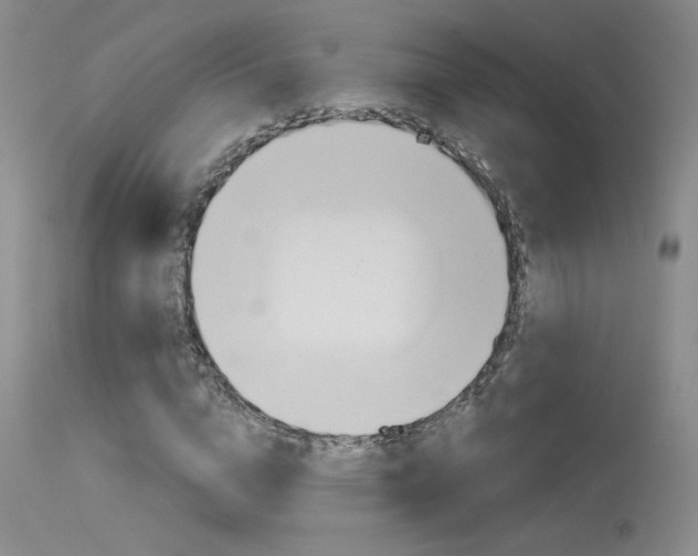 X0000115730824200911121123
