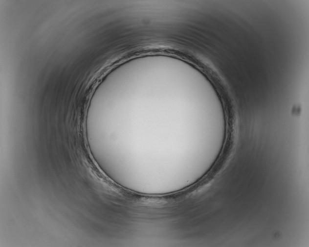 X0000115730825200911121123