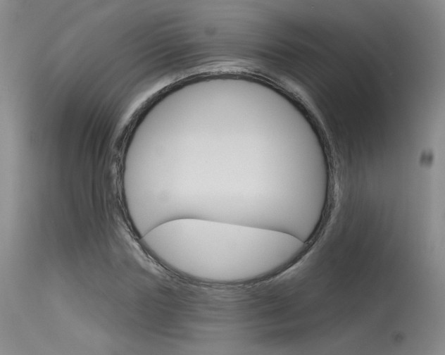 X0000115730827200911121123