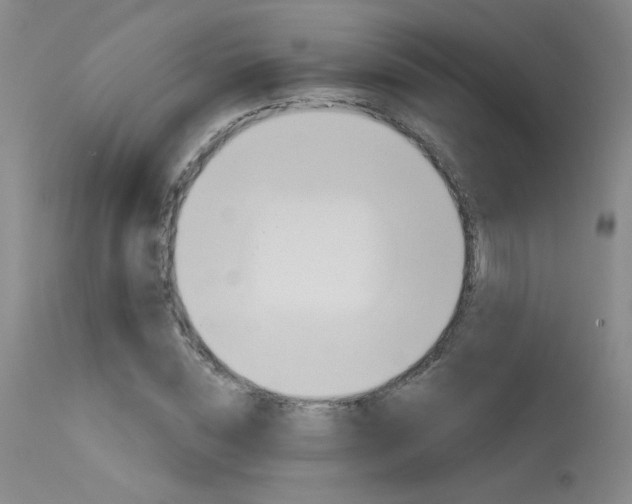 X0000115730828200911121123