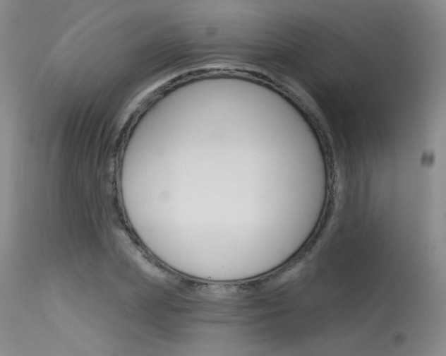 X0000115730831200911121123