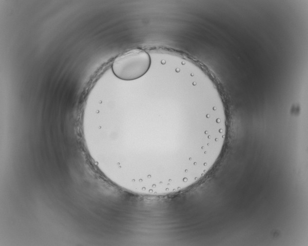 X0000115730832200911121123