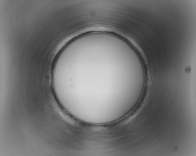 X0000115730837200911121124
