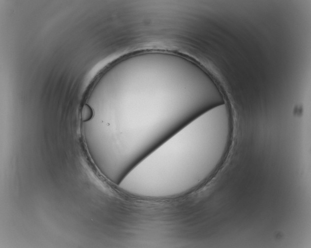 X0000115730838200911121124