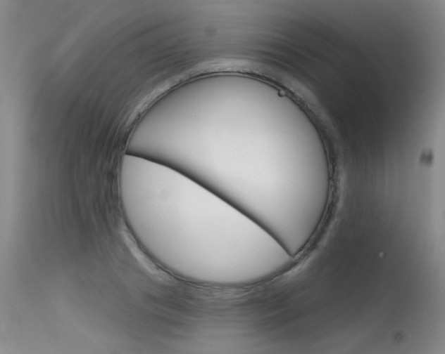 X0000115730841200911121124