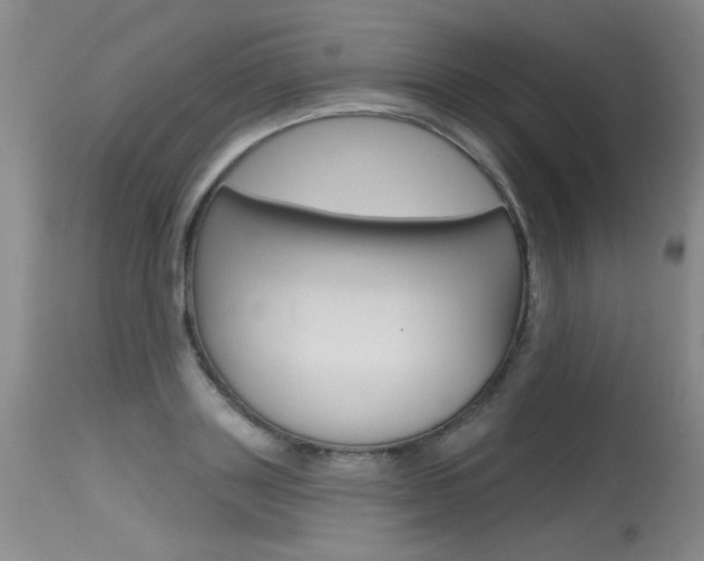 X0000115730843200911121124