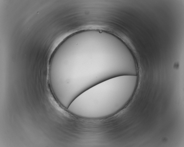 X0000115730844200911121124