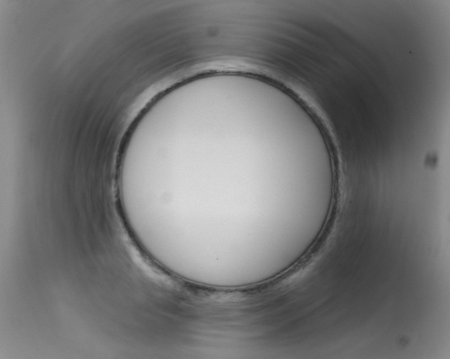 X0000115730845200911121124