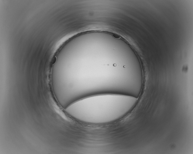 X0000115730846200911121124