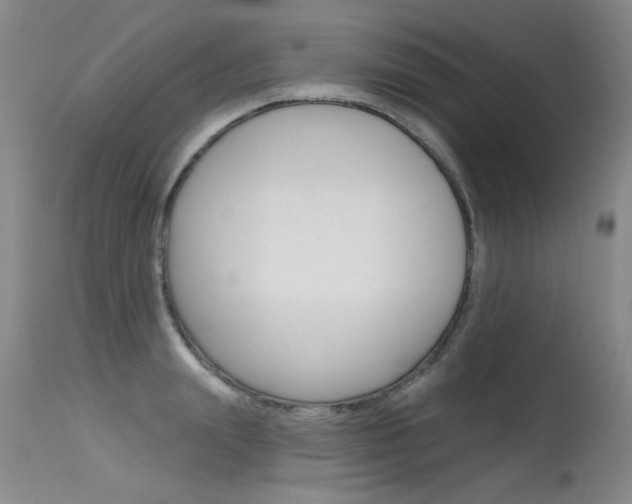 X0000115730847200911121124