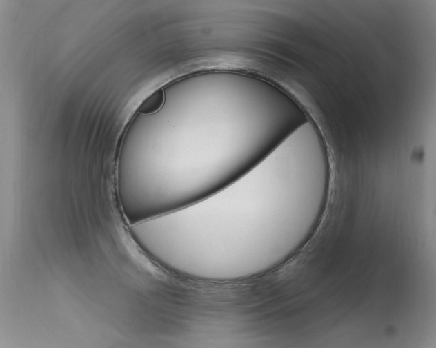 X0000115730850200911121124
