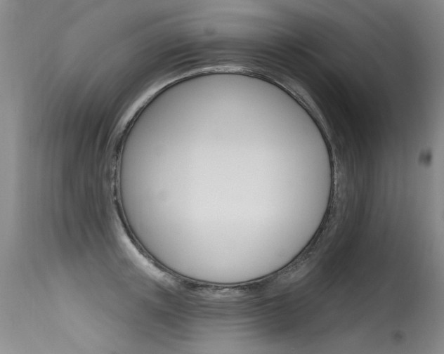 X0000115730851200911121124