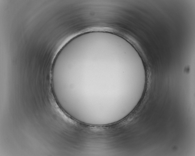 X0000115730852200911121124