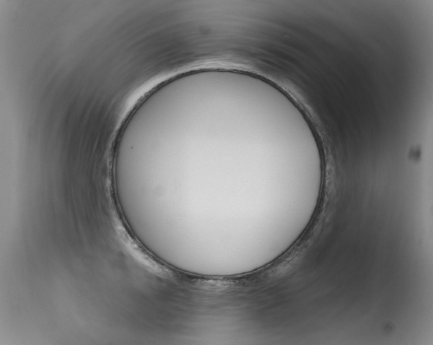 X0000115730854200911121124