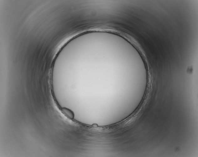 X0000115730855200911121124