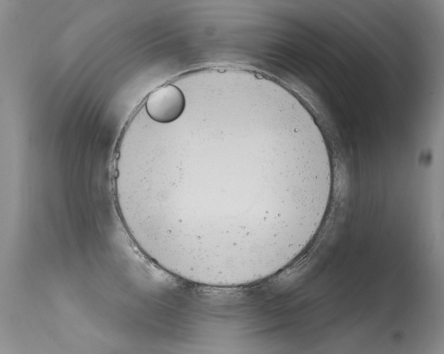 X0000115730856200911121124