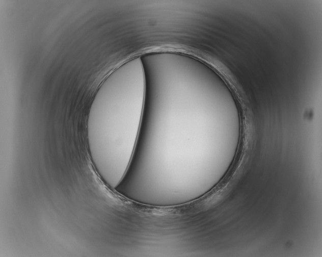 X0000115730857200911121124