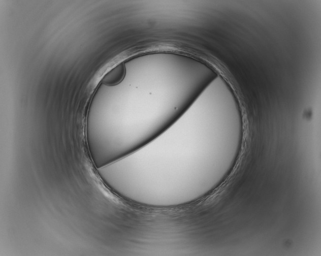 X0000115730858200911121124