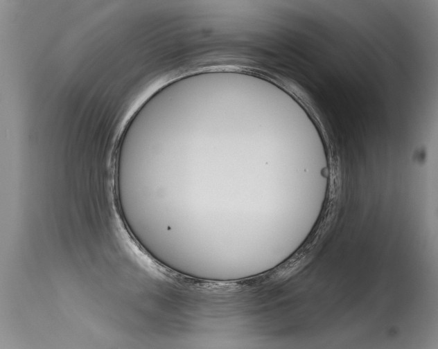 X0000115730859200911121124