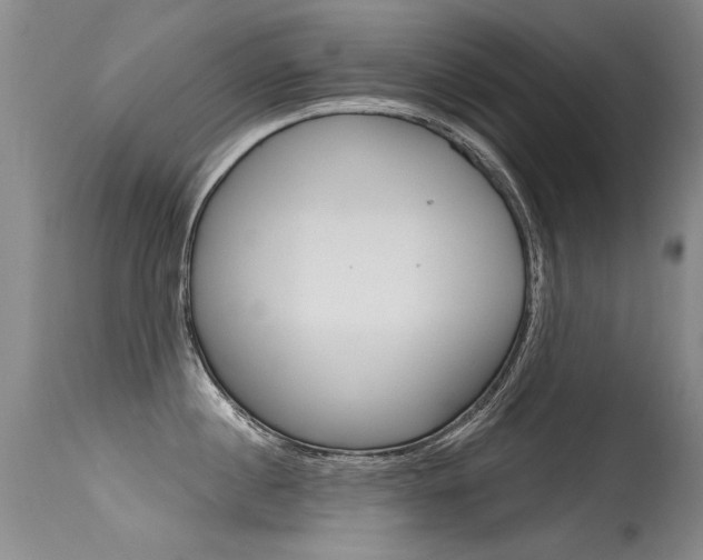 X0000115730860200911121124