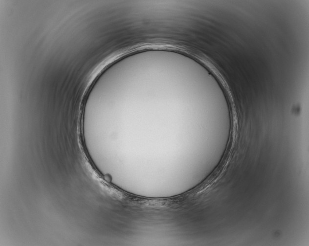 X0000115730861200911121124