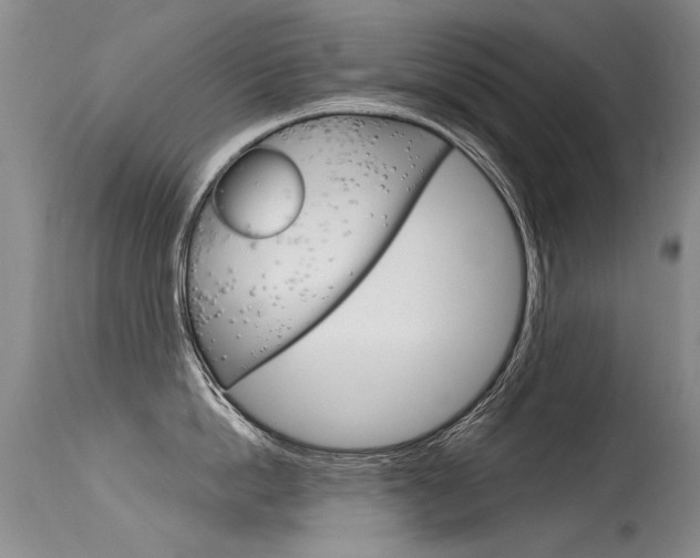 X0000115730862200911121124
