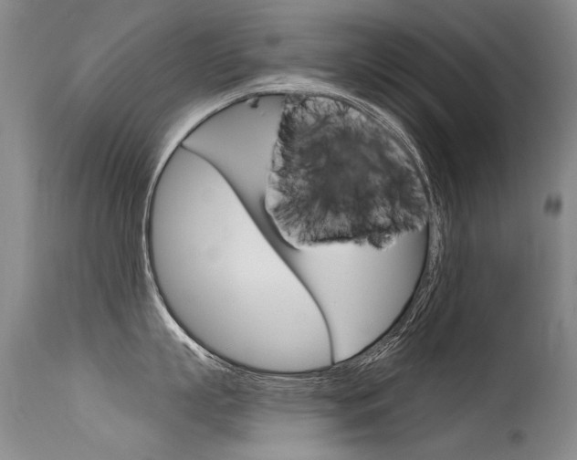 X0000115730863200911121124