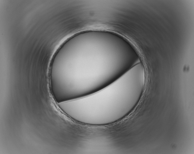 X0000115730864200911121124