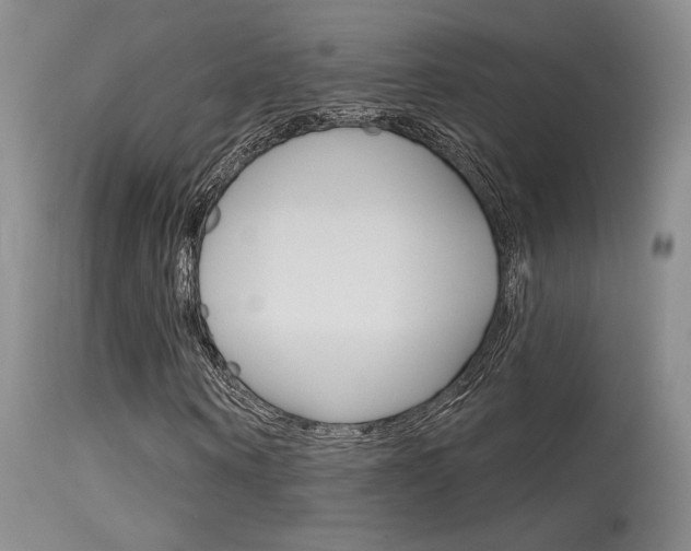 X0000115730866200911121123