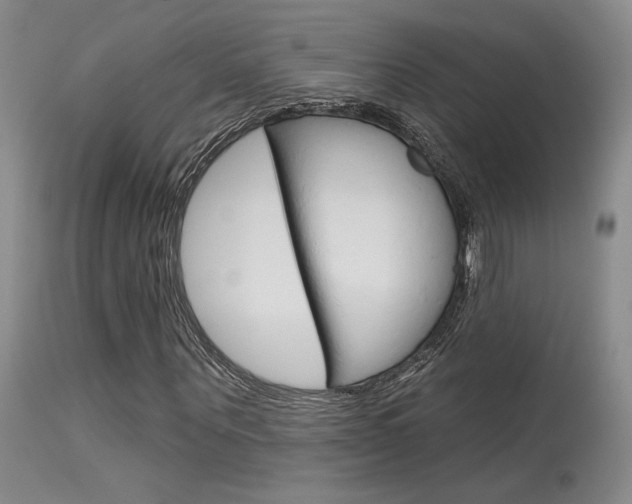 X0000115730867200911121123