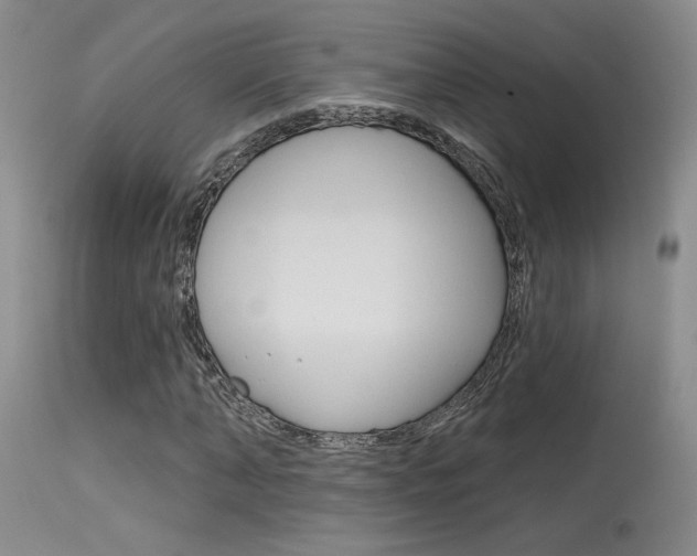X0000115730870200911121123