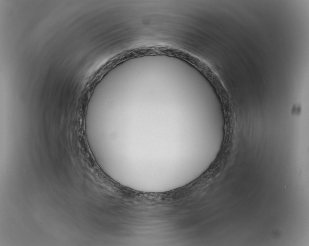 X0000115730871200911121123