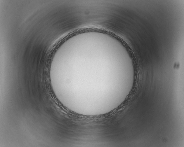 X0000115730872200911121123
