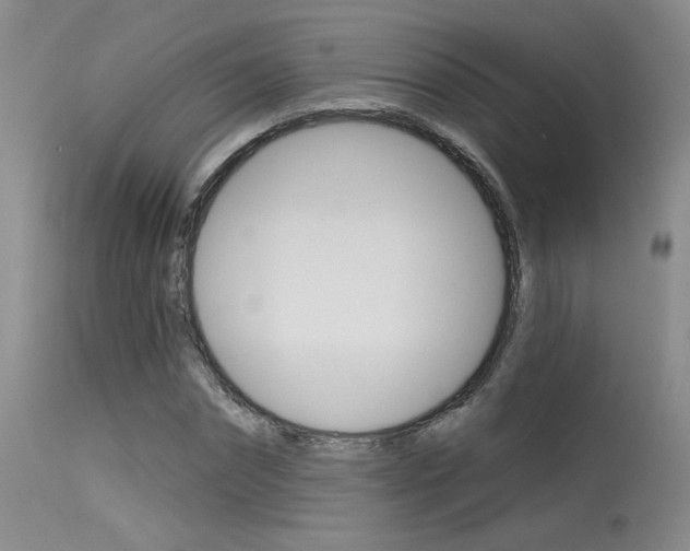 X0000115730874200911121123
