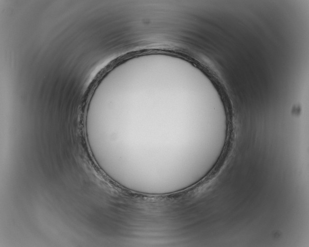 X0000115730875200911121123