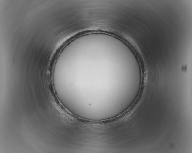 X0000115730876200911121123