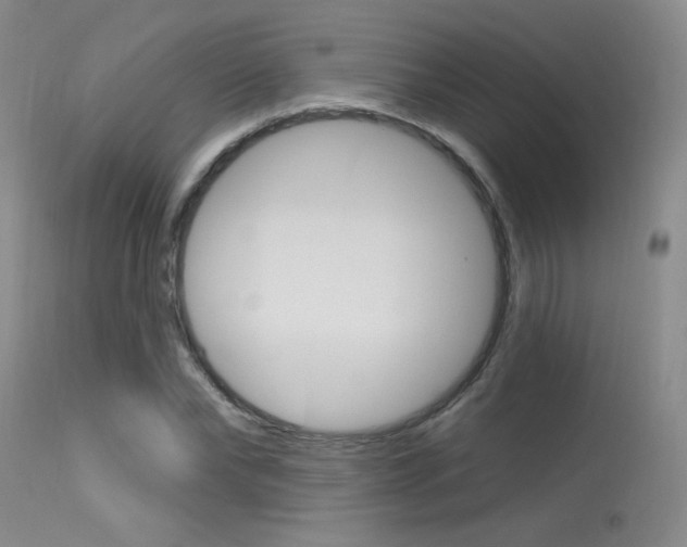 X0000115730878200911121123