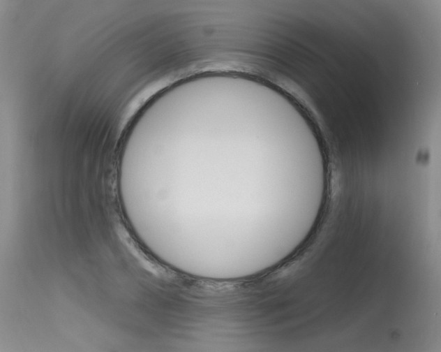 X0000115730882200911121123
