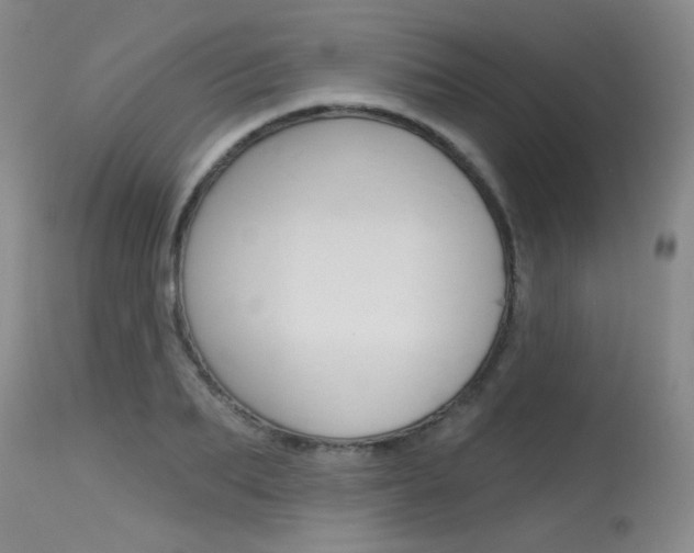 X0000115730887200911121123