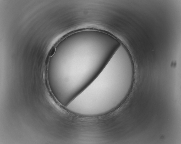 X0000115730888200911121123