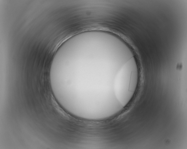 X0000115730889200911121123
