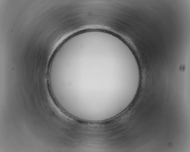 X0000115730895200911121123