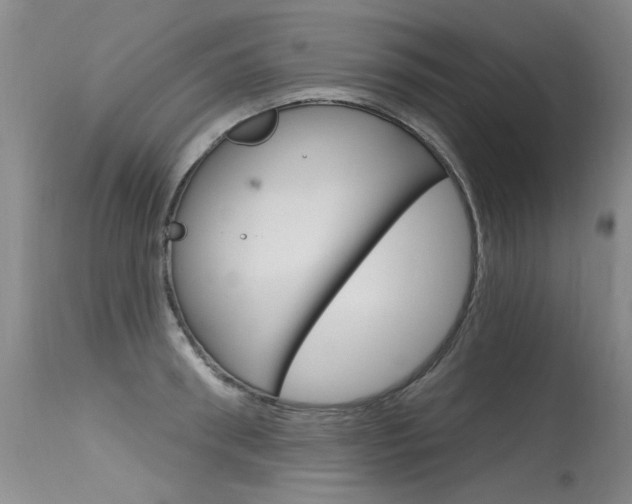 X0000115730898200911121123