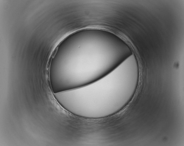 X0000115730908200911121123