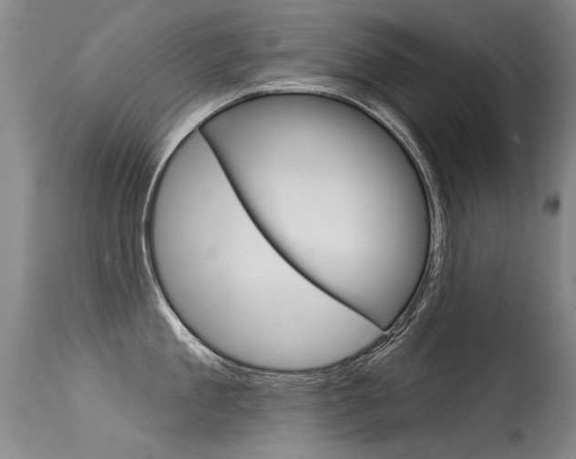 X0000115730909200911121123